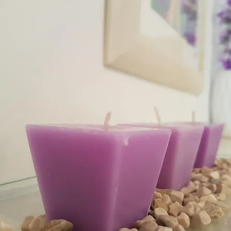 Ivana With Private Bathroom - Center Of Гостевой дом 3*