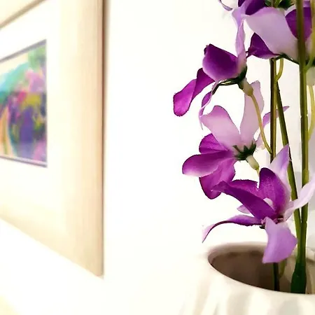 Ivana With Private Bathroom - Center Of Гостевой дом 3*