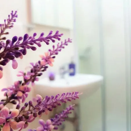 Ivana With Private Bathroom - Center Of Гостевой дом