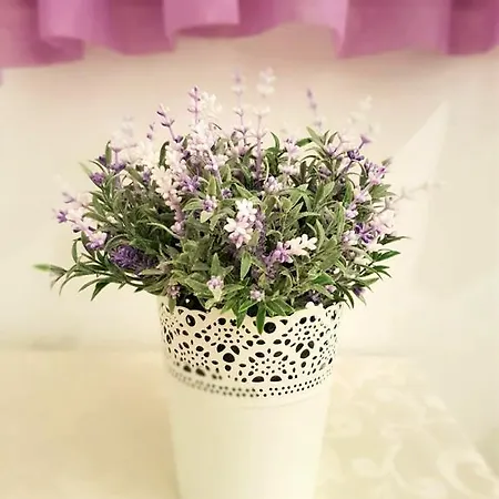 Ivana With Private Bathroom - Center Of Split